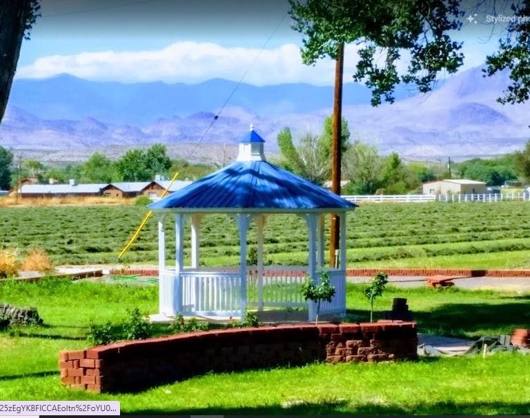 White gazebo with a blue roof in a green New Mexico garden